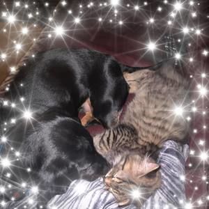 Meet your Posher, Mireya